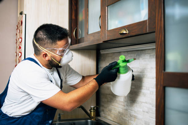 Best Pest Control Near Me  in Hot Springs Village, AR