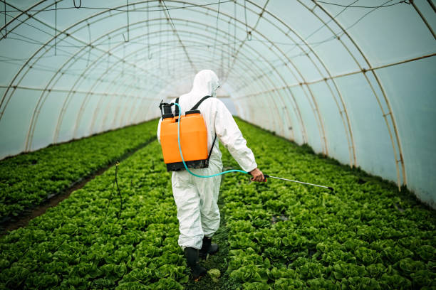Best Affordable Pest Control Services  in Hot Springs Village, AR