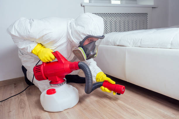 Best Exterminator Services  in Hot Springs Village, AR