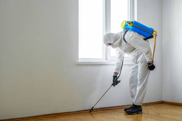 Best Best Pest Control Companies  in Hot Springs Village, AR