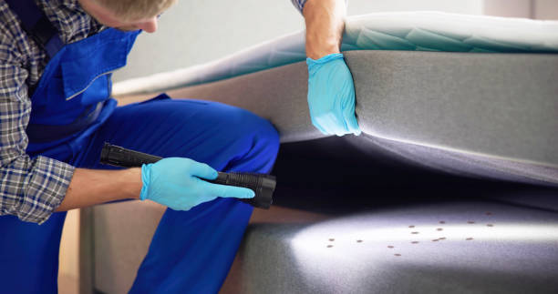 Best Pest Prevention Services  in Hot Springs Village, AR