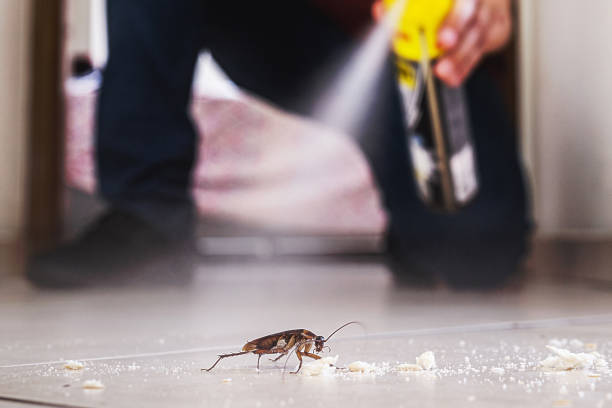 Best Residential Pest Control  in Hot Springs Village, AR