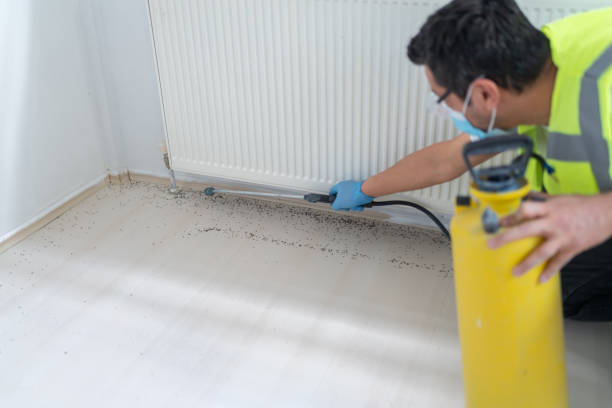 Best Affordable Pest Control Services  in Hot Springs Village, AR
