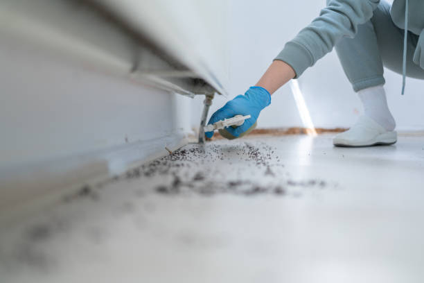 Best Commercial Pest Control Services  in Hot Springs Village, AR
